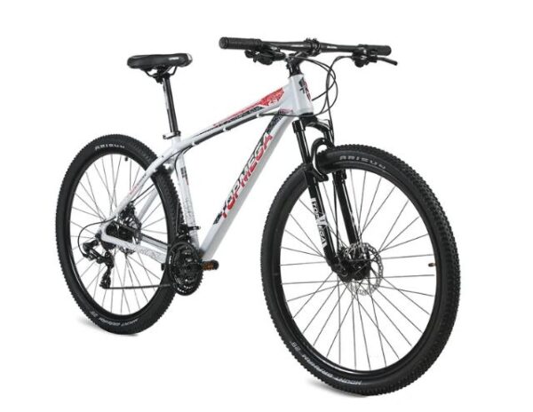 BICICLETA TOPMEGA R29 SUNSHINE T"L"  GRIS/ROJA